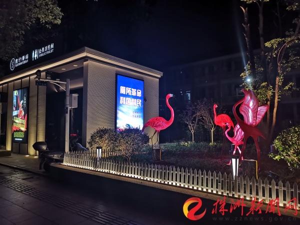 武汉街头惊见“火烈鸟”？不，这是我市首个“微亮”项目