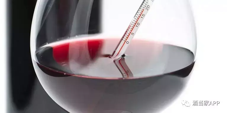 葡萄酒如何持杯下图展示了多种持姿势？(图3)